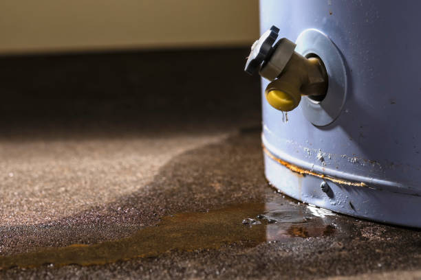 Best Water damage restoration company  in Limestone Creek, FL