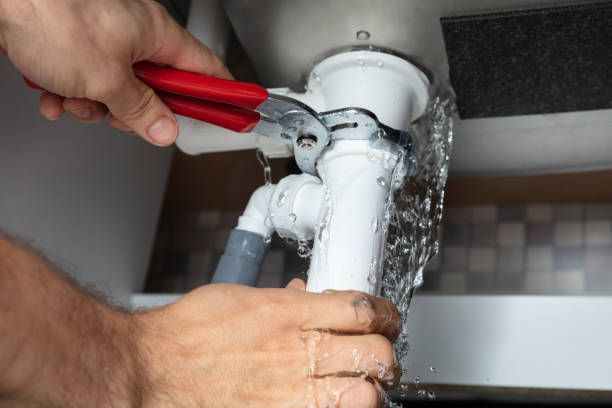 Best Water damage contractors near me  in Limestone Creek, FL