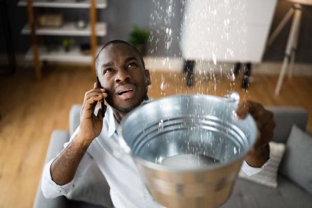 Best Emergency water extraction  in Limestone Creek, FL