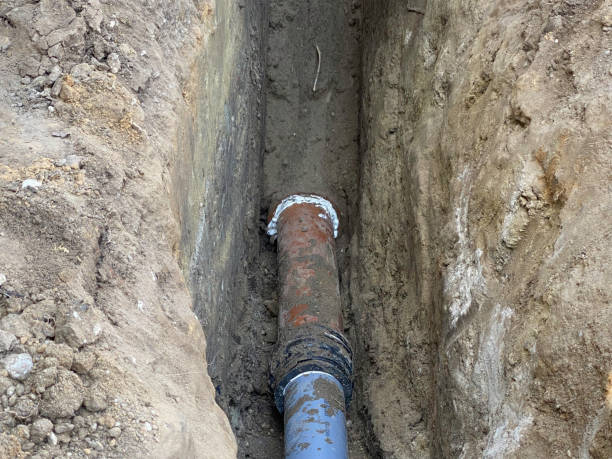Best Professional water damage repair  in Limestone Creek, FL