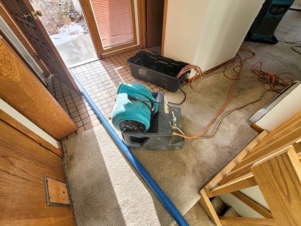 Best Water damage restoration process  in Limestone Creek, FL