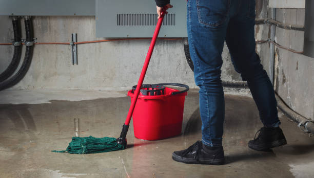 Best Water damage restoration near me  in Limestone Creek, FL