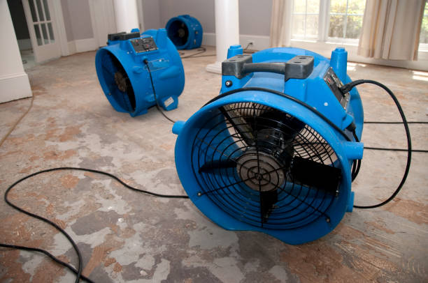 Best Flood restoration services  in Limestone Creek, FL