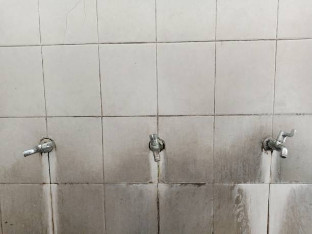Best Sewage cleanup and water damage restoration  in Limestone Creek, FL