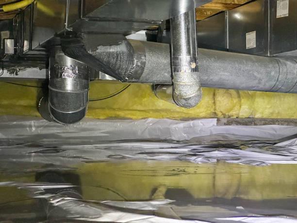 Best Water damage cleanup near me  in Limestone Creek, FL