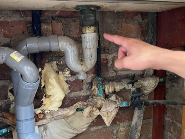 Best Local water damage restoration  in Limestone Creek, FL