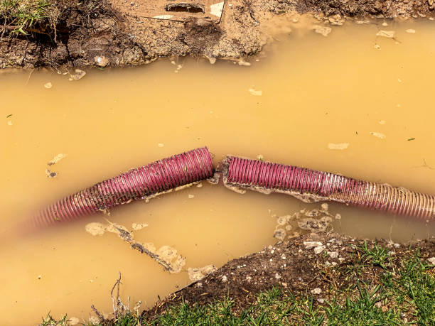 Best 24-hour water damage restoration  in Limestone Creek, FL