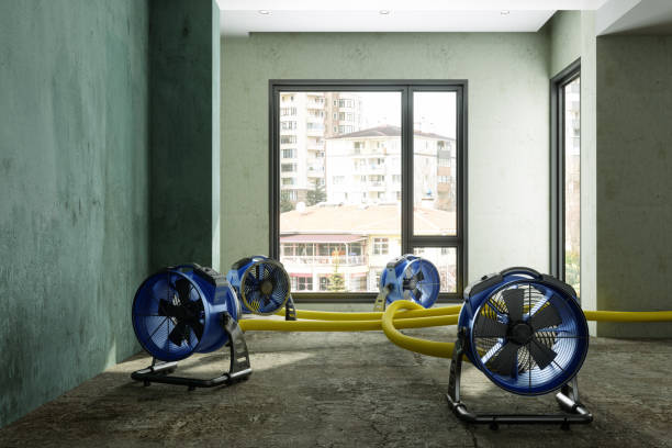 Best Flood restoration services  in Limestone Creek, FL